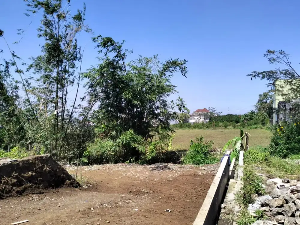 Tanah Murah Area Joyoagung