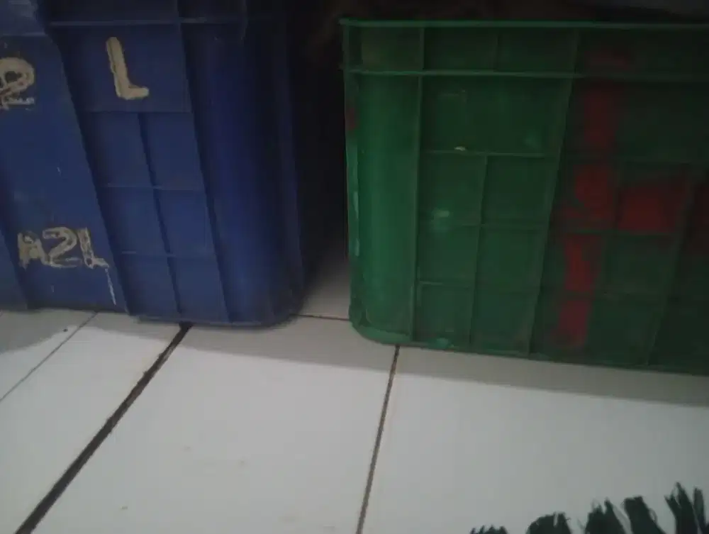 Box Kontainer bwt piara ikan
