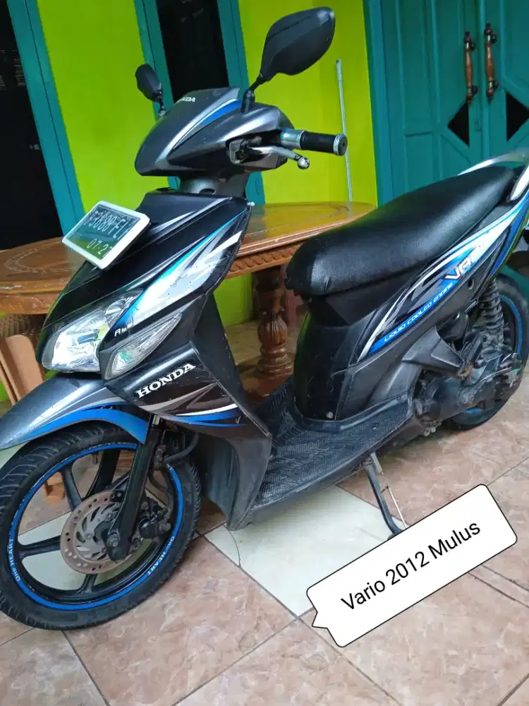 Vario Karbu 2012 Gress, Muluss