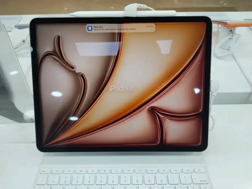Ipad Air  128gb