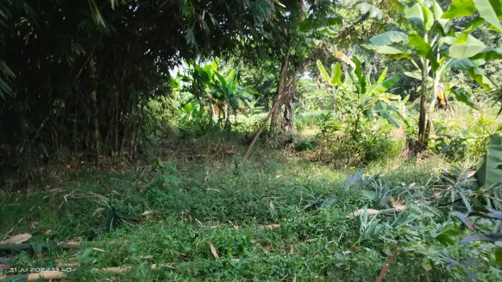 DI JUAL TANAH DAERAH SETU BEKASI
