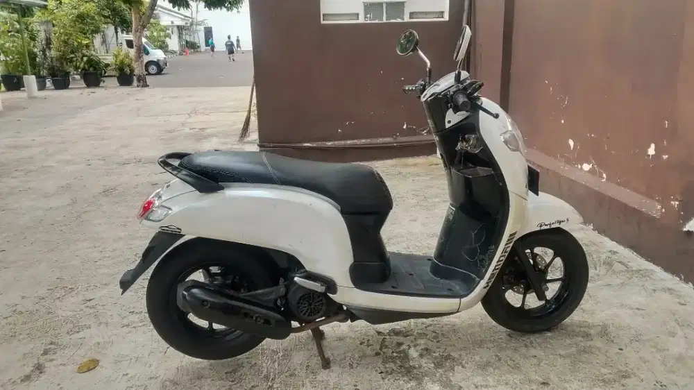Scoopy donat orisinil