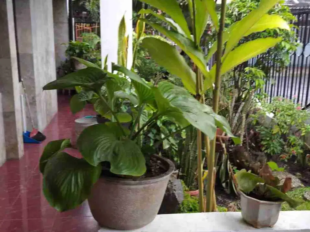 Turun Harga Dijual rumah siap Huni di cikutra Baru Bandung