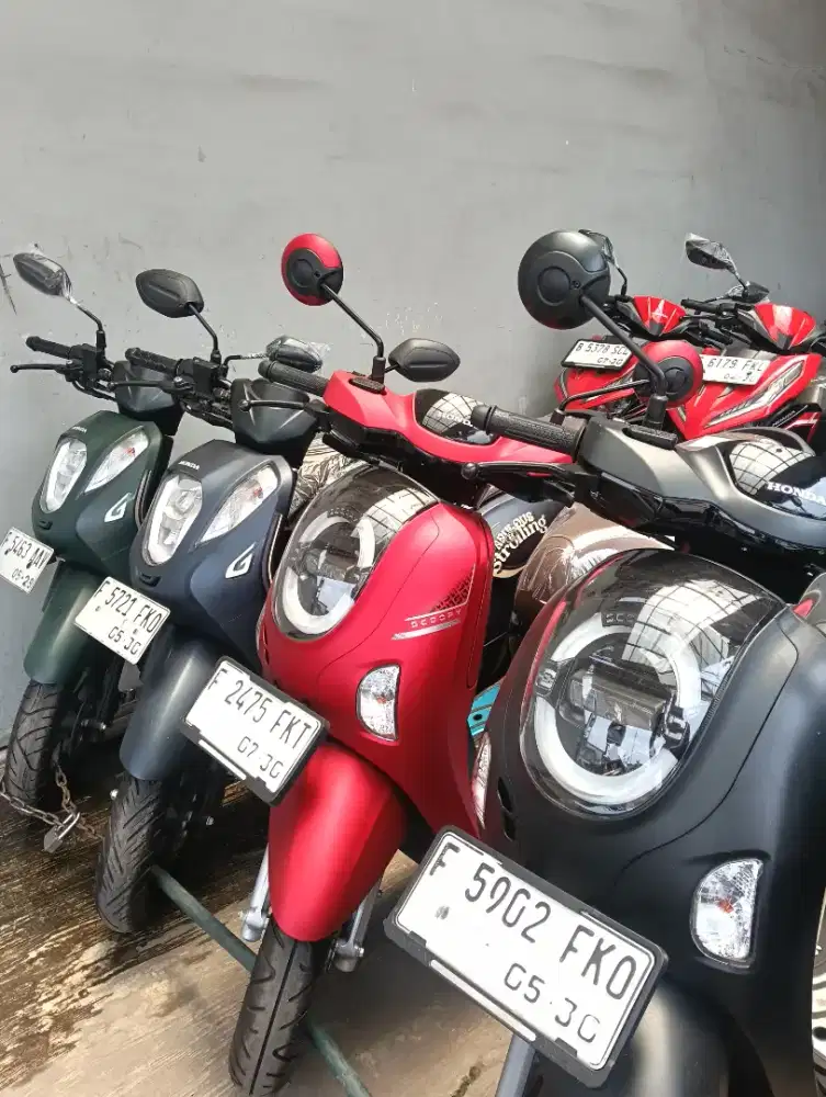 D jual murah Honda Scoopy