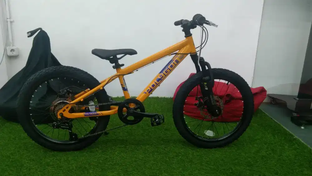 SEPEDA MAZE 20 KIDS BIKE
