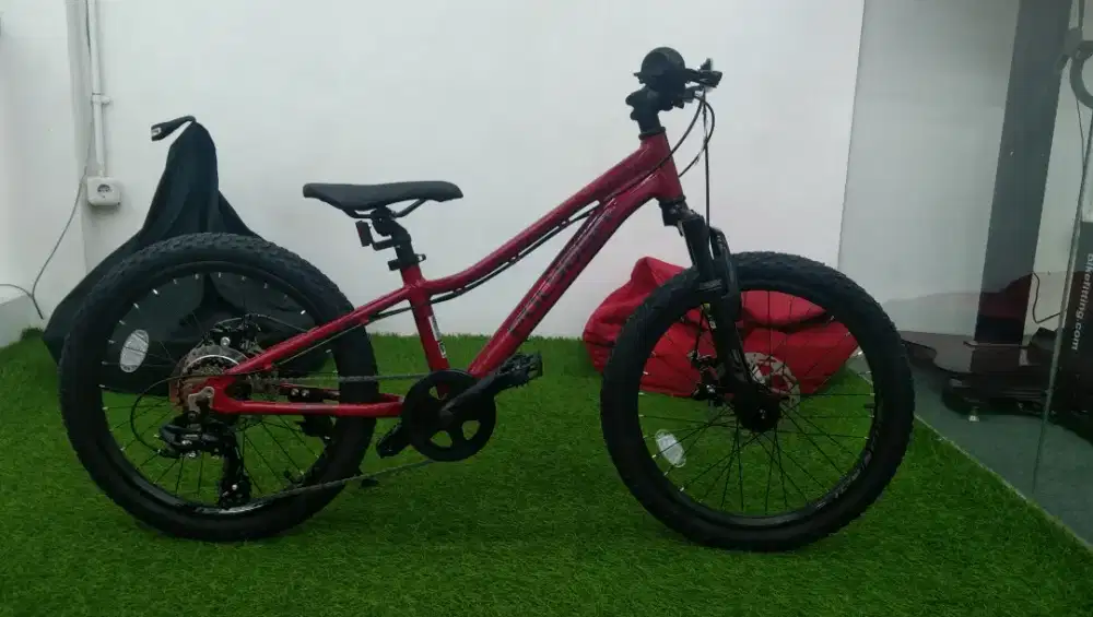 SEPEDA RELIC 20 KIDSBIKE