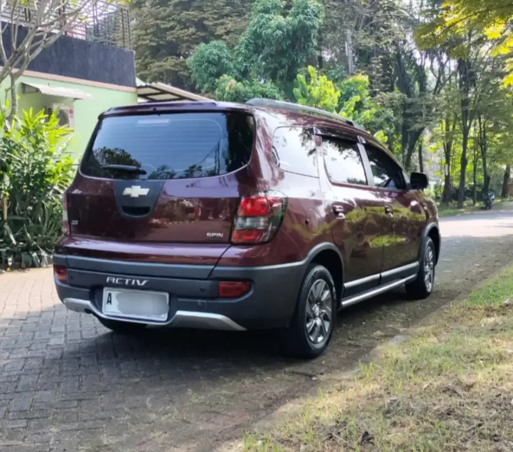Spin Activ mulus terawat