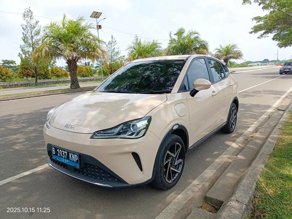 NETA X 2024 Listrik