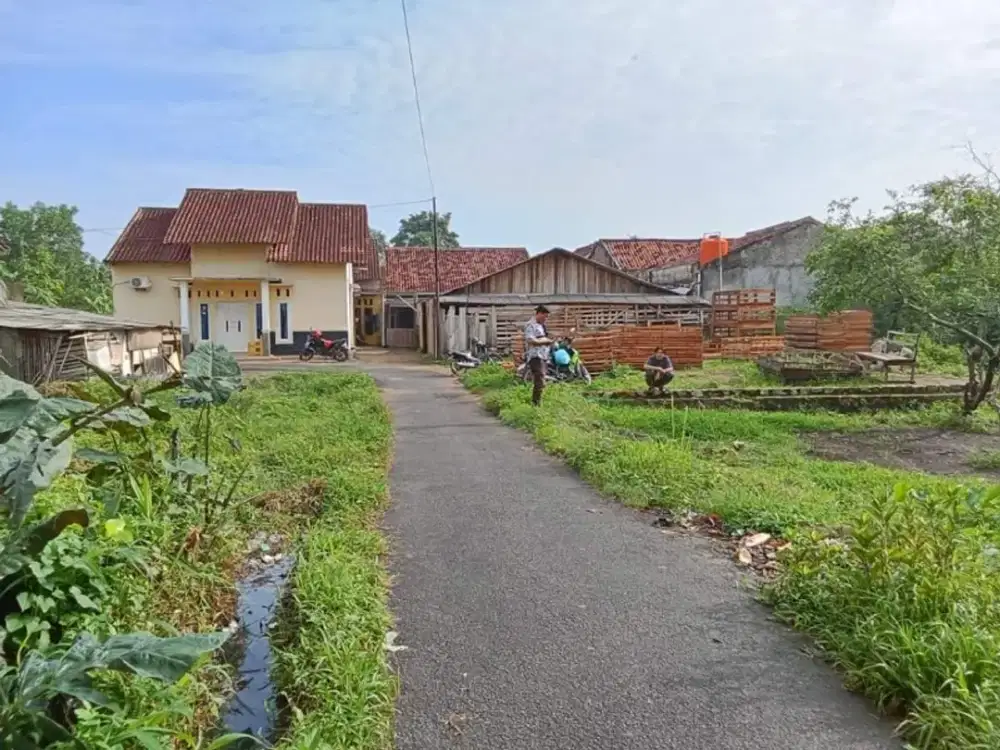 tanah dekat pasar way kandis