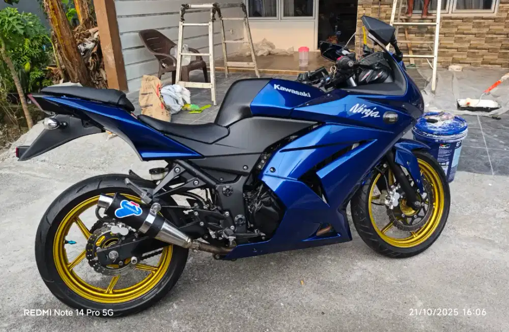 Kawasaki Ninja 250 Karbu 2010