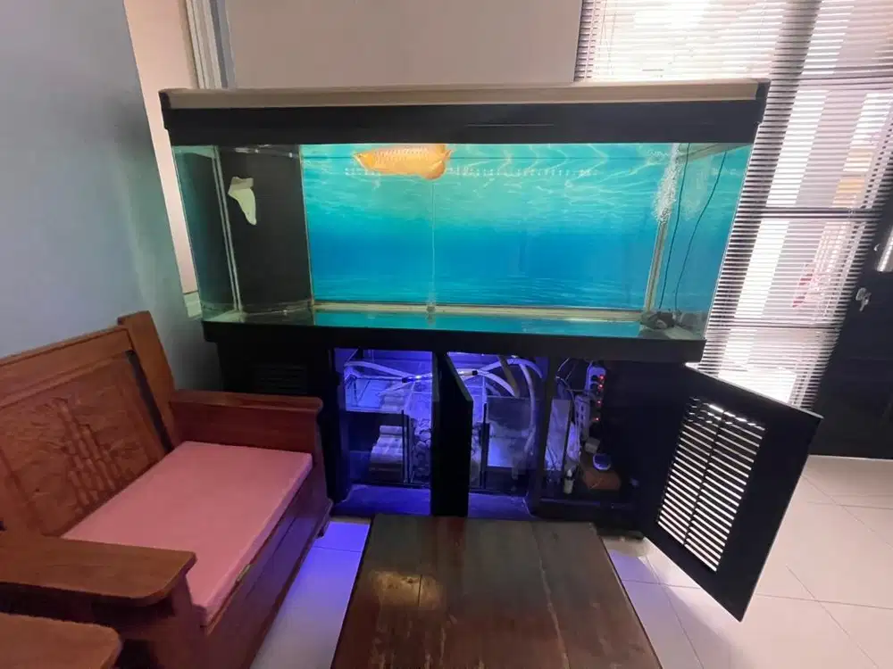 Aquarium dan arwarna SR  40cm nego