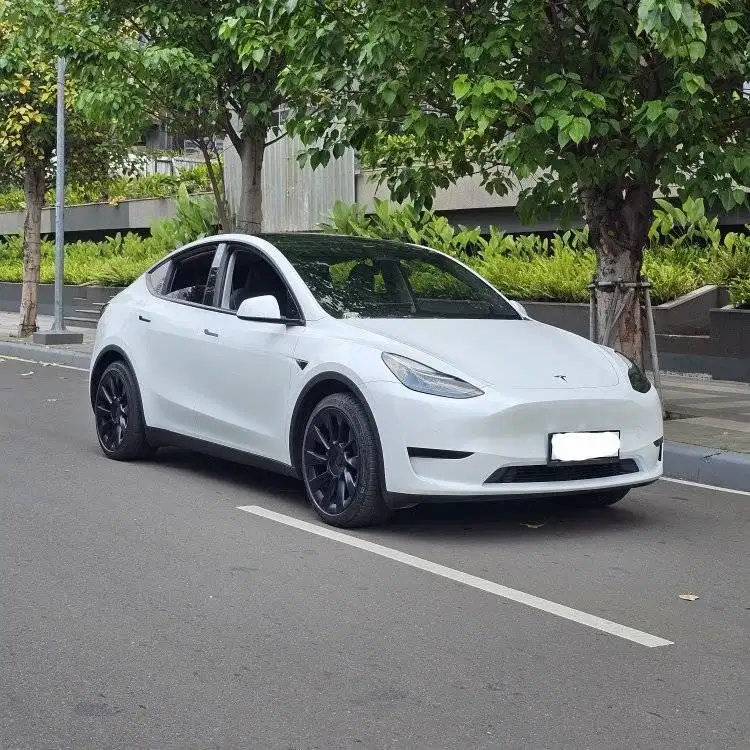 2022 Tesla Model Y Long Range CBU KM 34000 antik