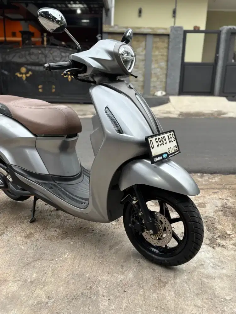 Grand filano 2024 new