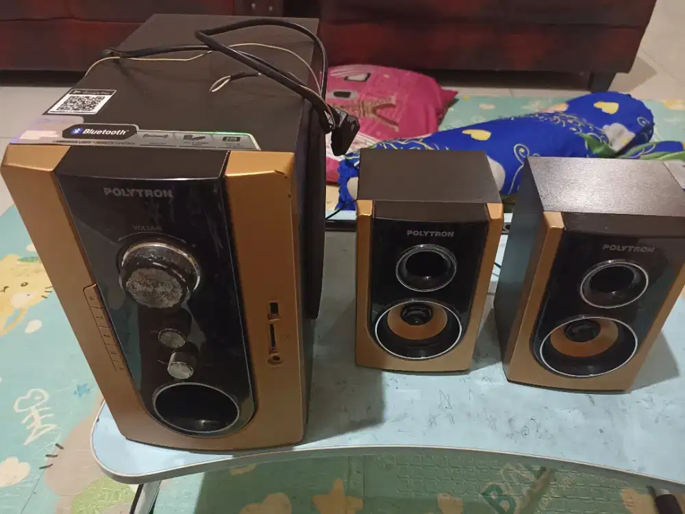 Speaker politron PMA 9300