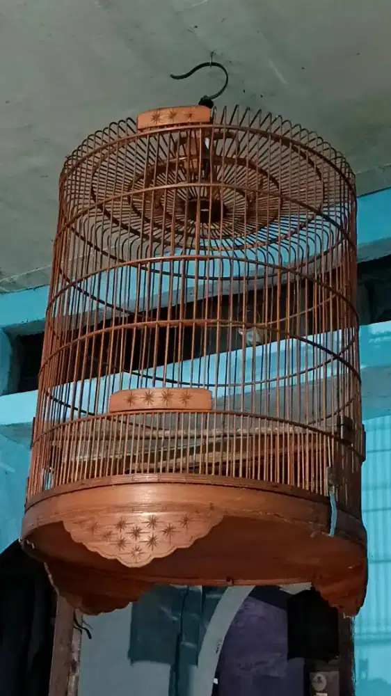 Kandang murai no 2