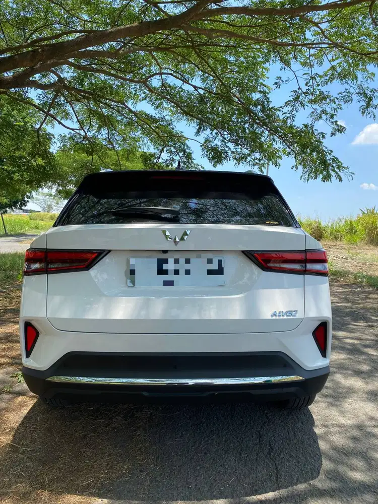 Alvez EX 2024 matic