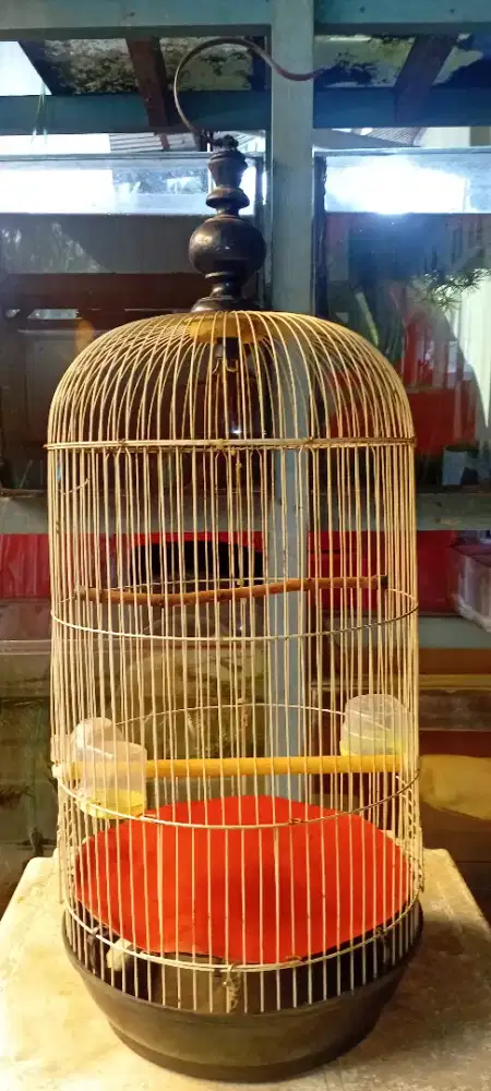 Kandang/sangkar burung