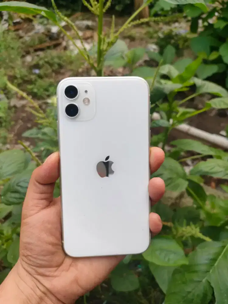 iphone 11 64 ibox