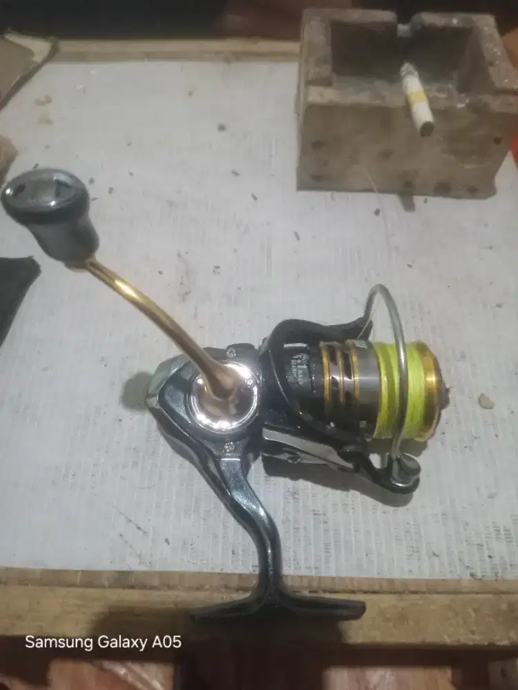 Reel DII EXCELER IT