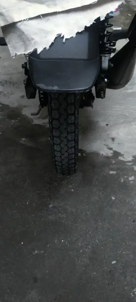 Yamaha F1ZR poswan