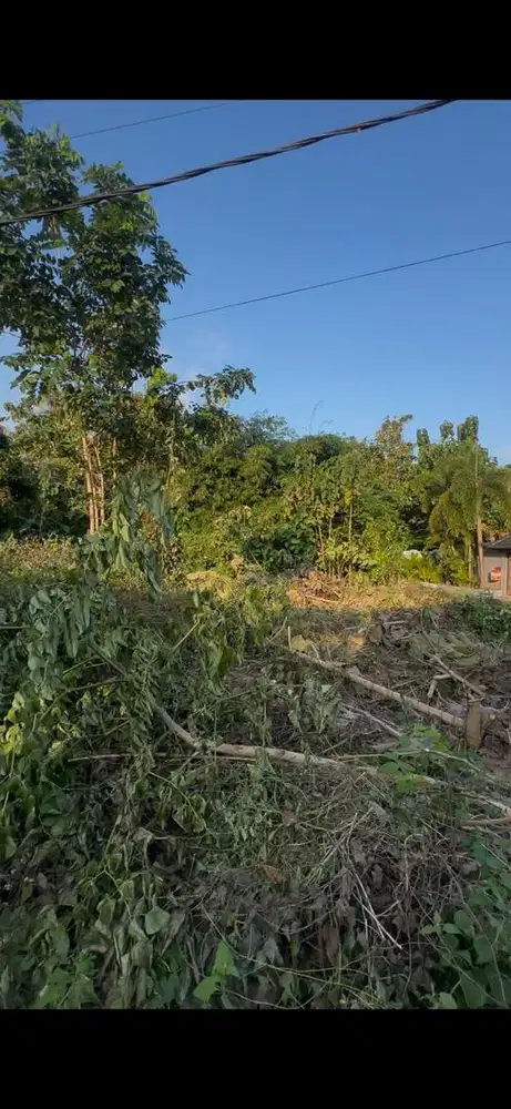 Dijual tanah ungasan