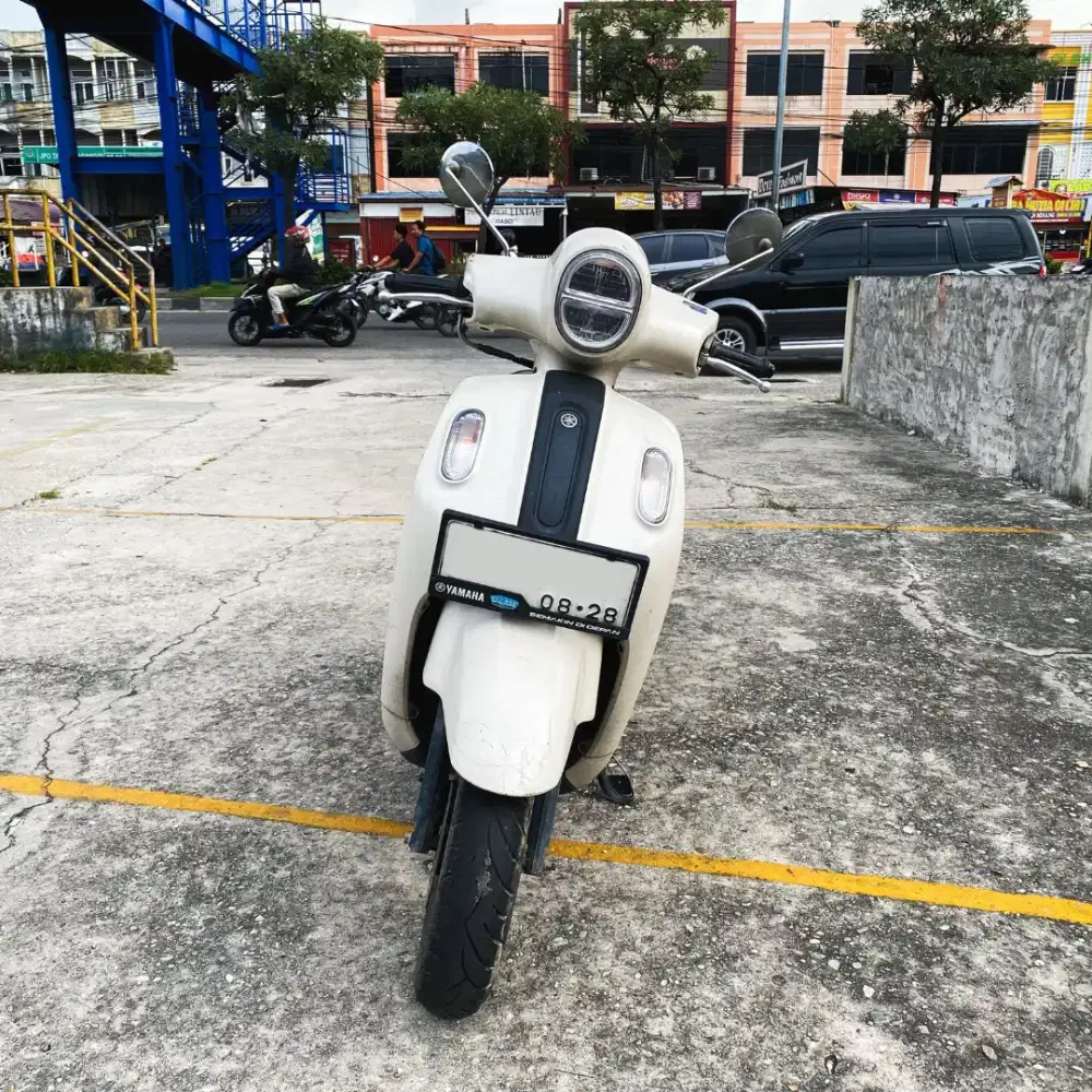 Fazzio neo 2023