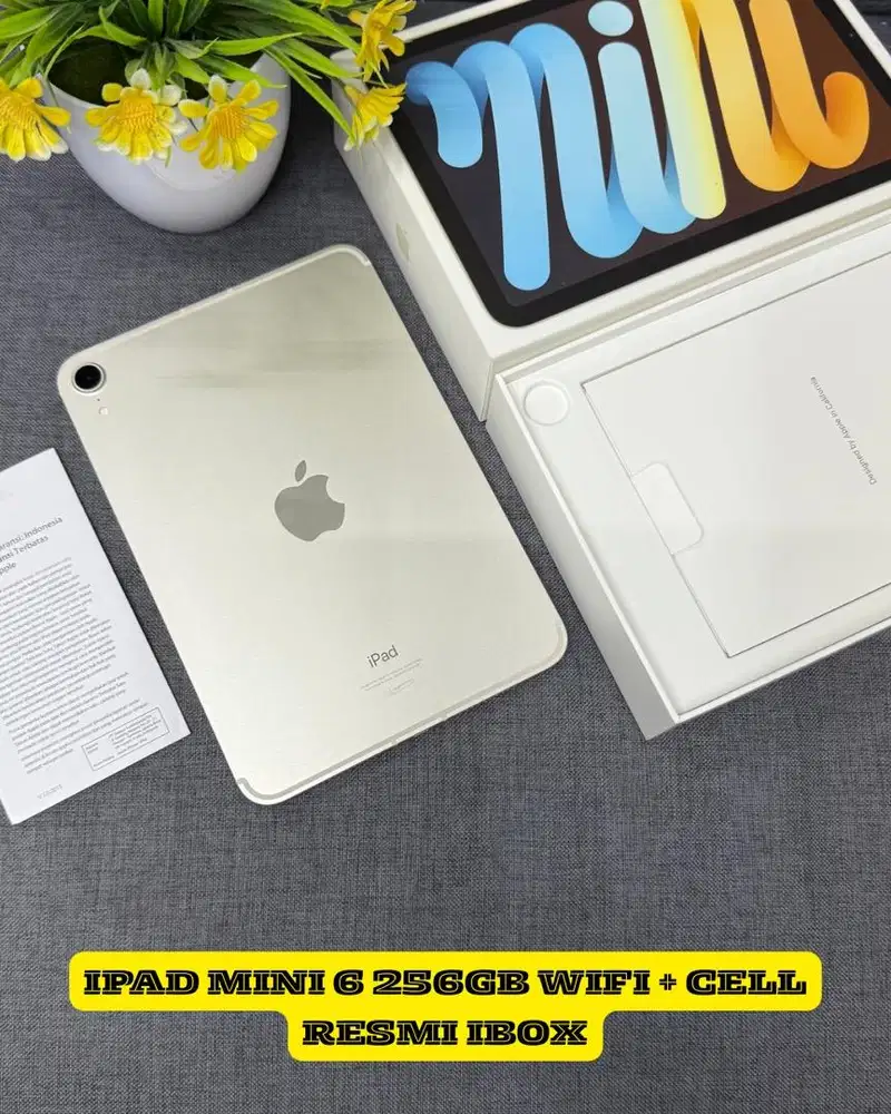 Ipad mini 6 256gb starlight wifi + cellular ibox