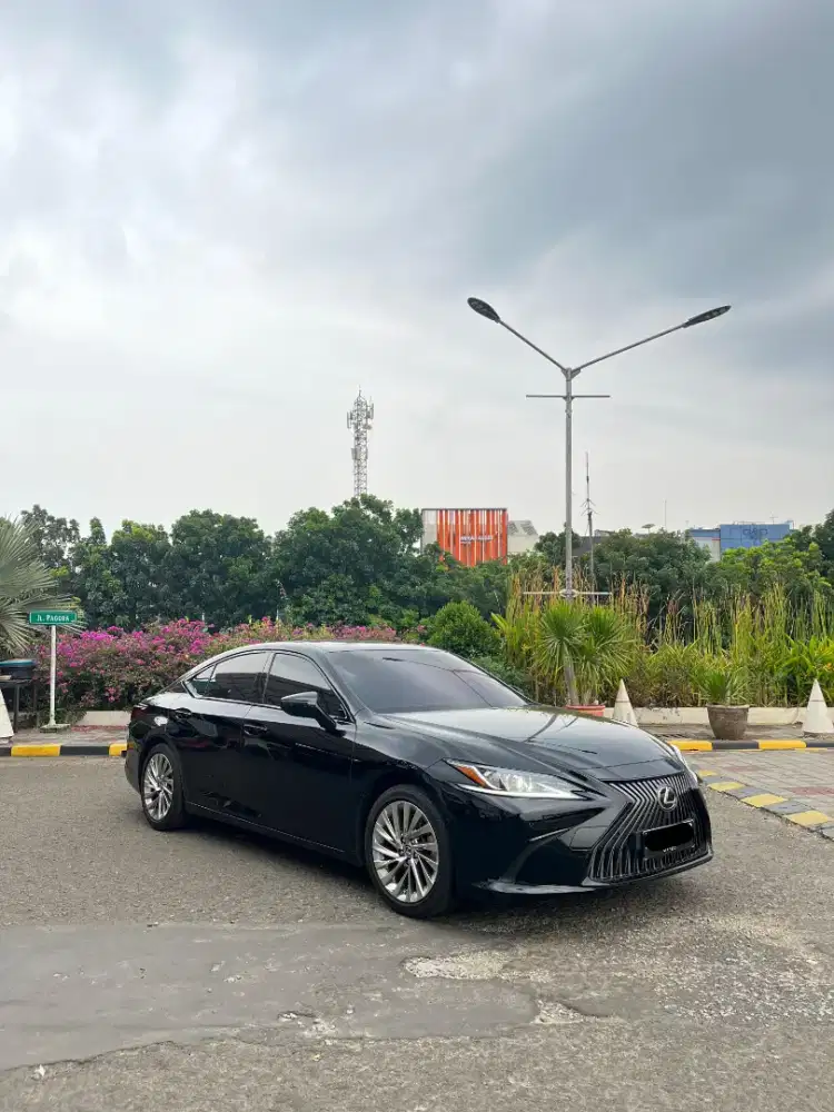 Lexus ES250 2020 Ultra Luxury / Full Spec / Very Low KM