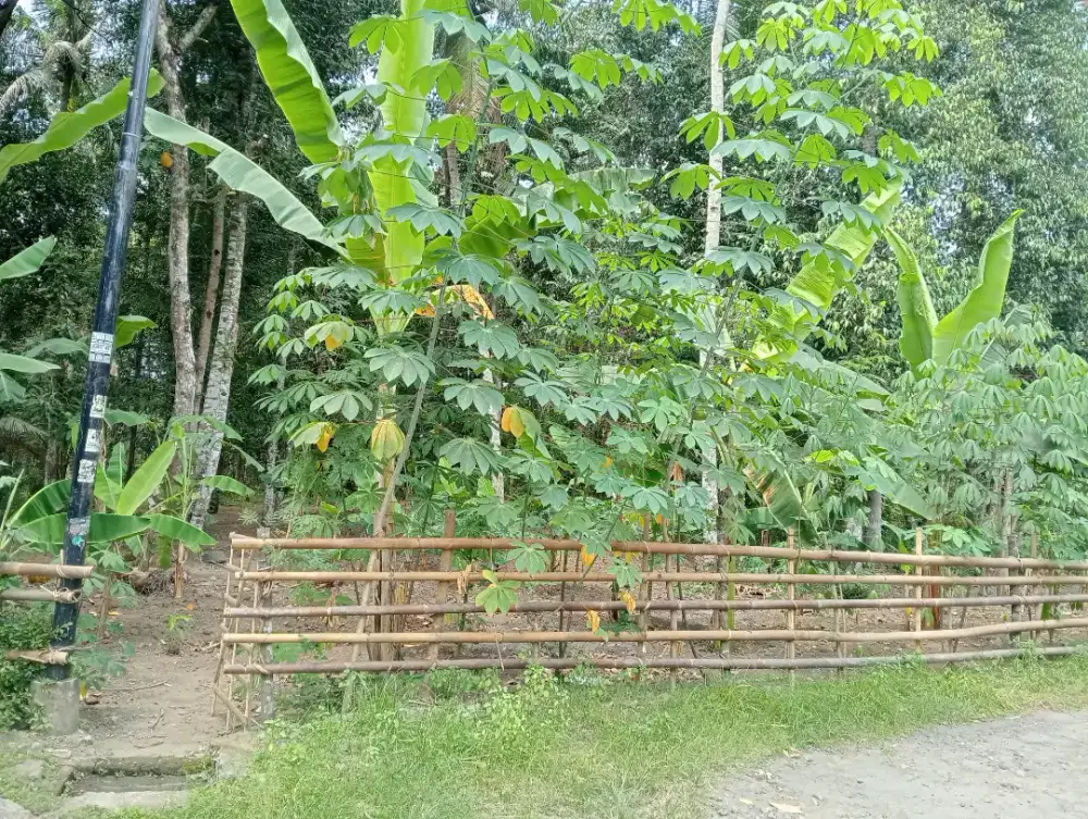 Jual tanah pekarangan