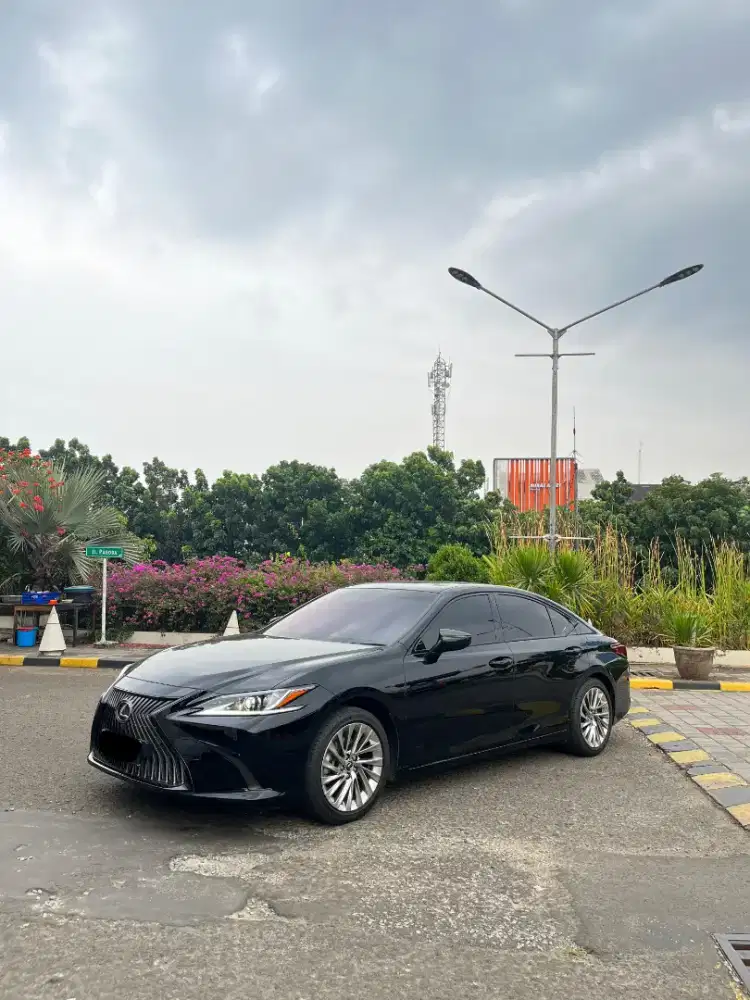 Lexus ES250 2020 Ultra Luxury / Full spec / Low KM / Like New