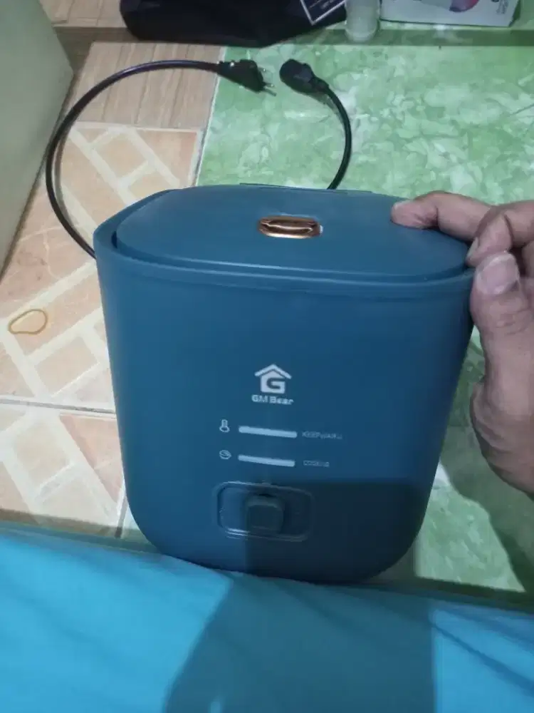 Lampu nyamuk dan rice cooker