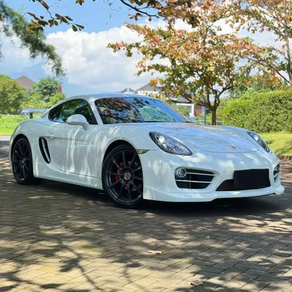 PORSCHE CAYMAN 981 2014