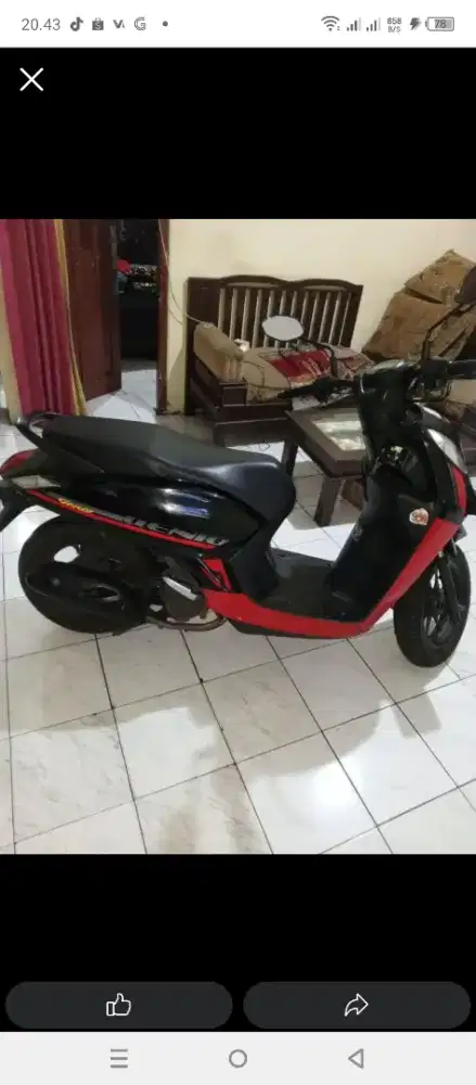 Honda motor Genio 2024/2025