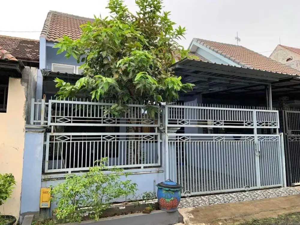 LANGKA ! RUMAH AREA BUNGA CENGKEH SUHAT