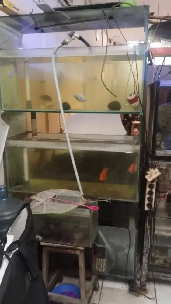 Aquarium  3 susun