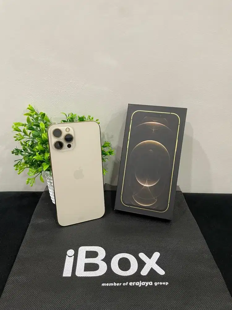IPhone 12 ProMax 512GB iBox Gold mulus Fullset BH 100% Permanent