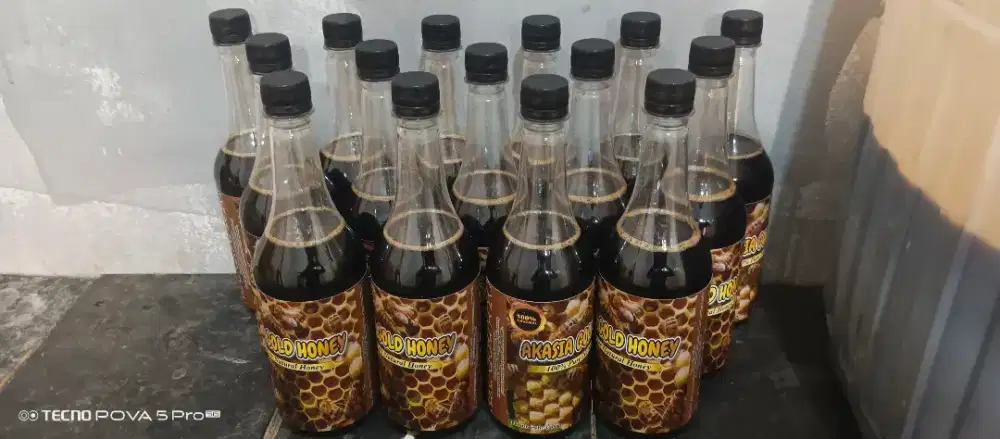 Madu hutan akasia asli murni