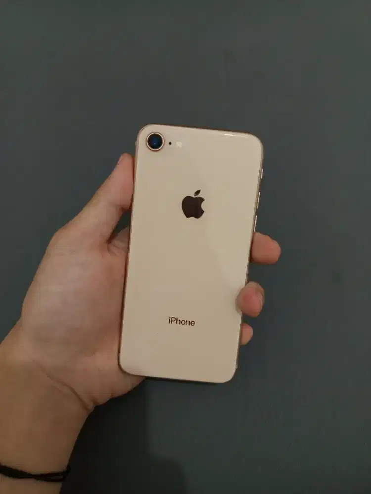 iPhone 8 256GB Inter Sinyal Aman, Batre 100%, Wireless Charging Only