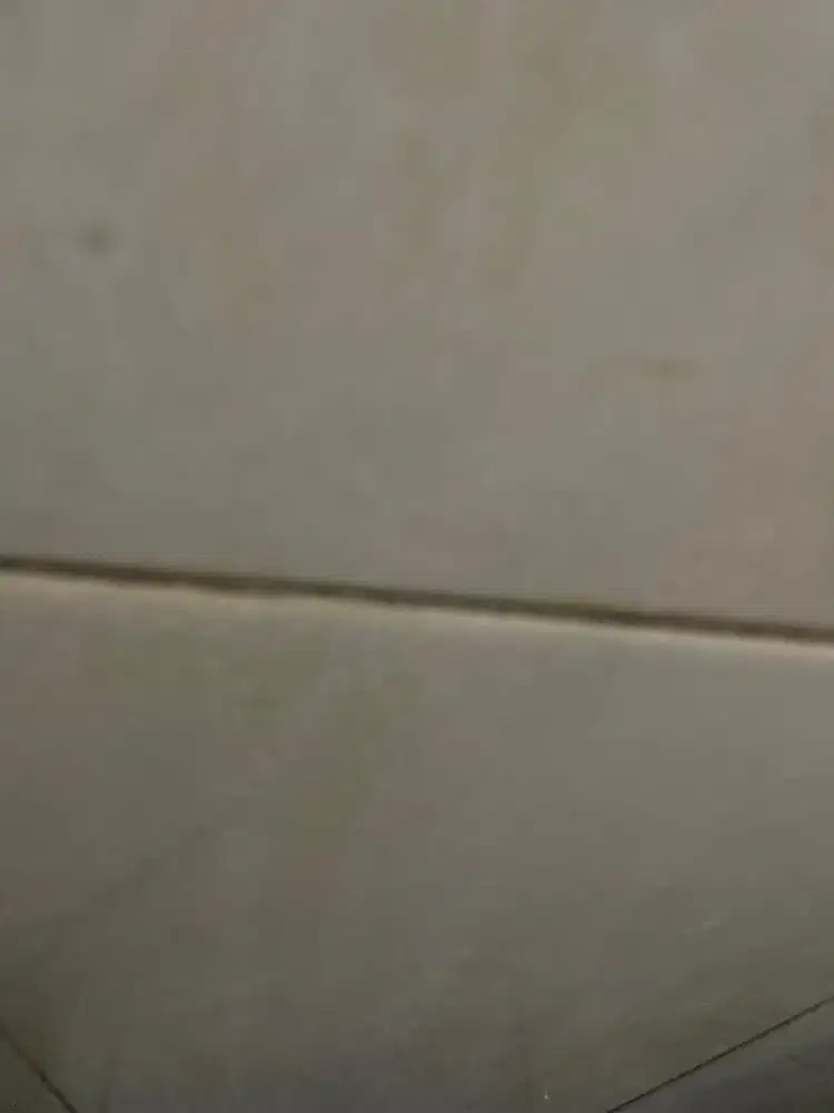 testvvvvvvvvv f
