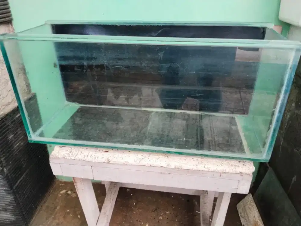 AQUARIUM IKAN HIAS