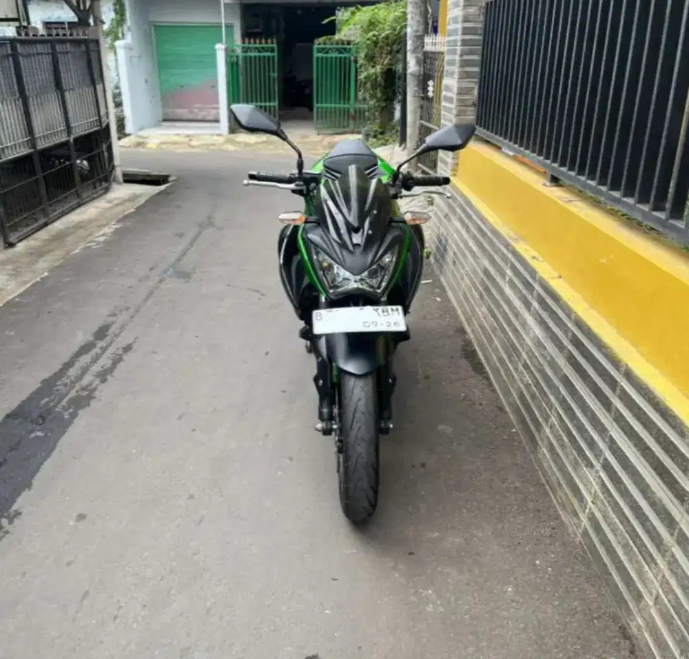 Kawasaki Z250 2017