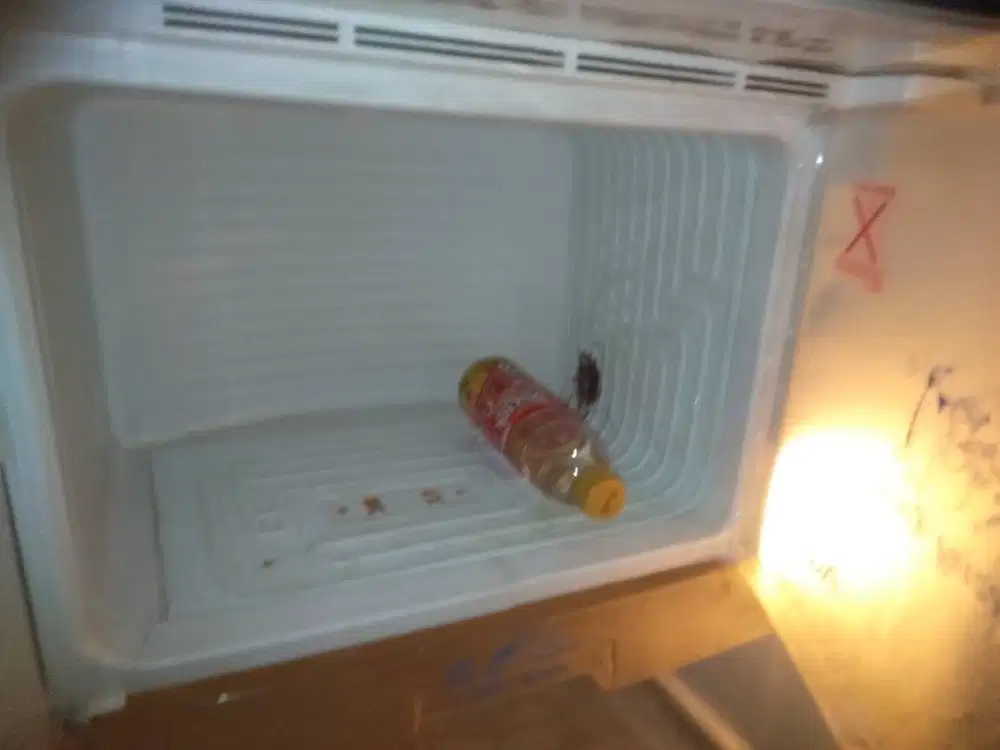 Kulkas satu pintu dingin normal freezer bisa bikin es merk Aqua