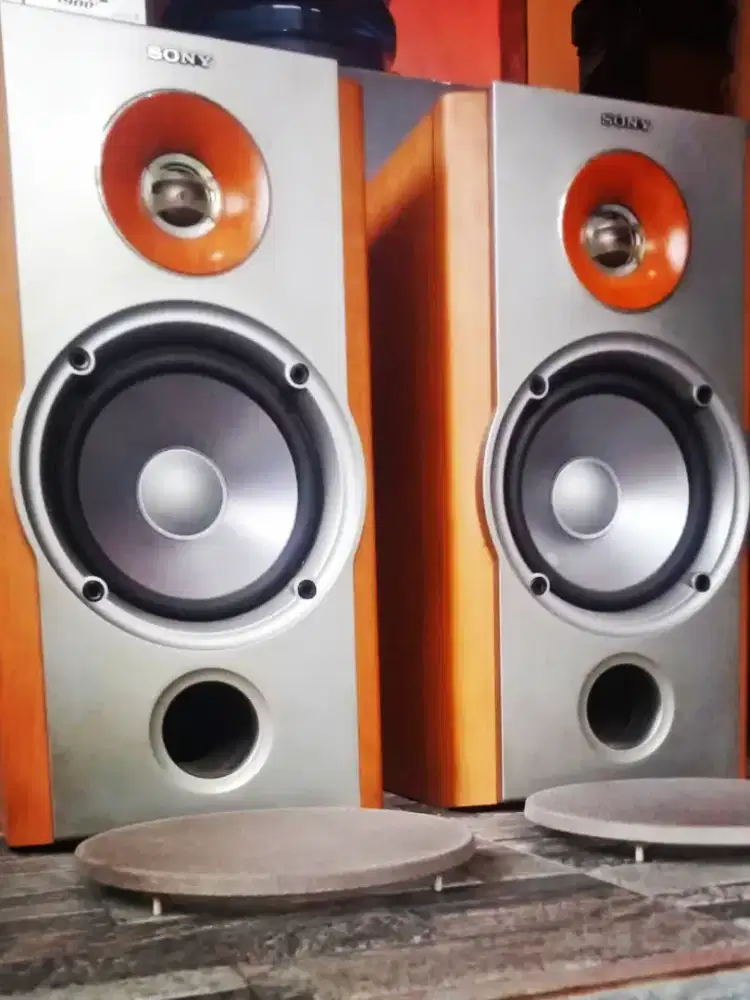 SONY SS NX 1 Speaker hifi high end