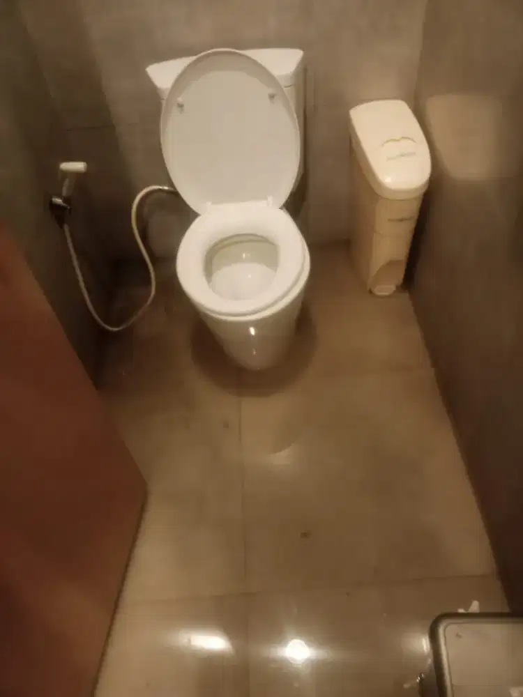 Sedot WC Tangsel