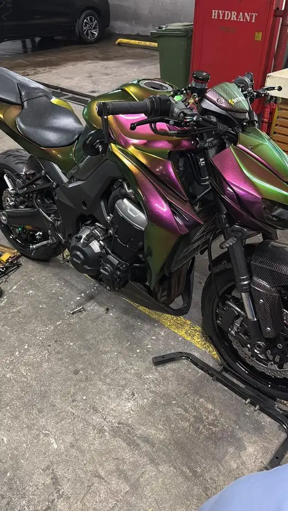 Z1000 Sugomi Vin 2016
