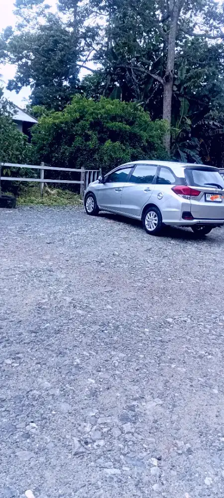 Honda Mobilio Th2014 Type E Manual
