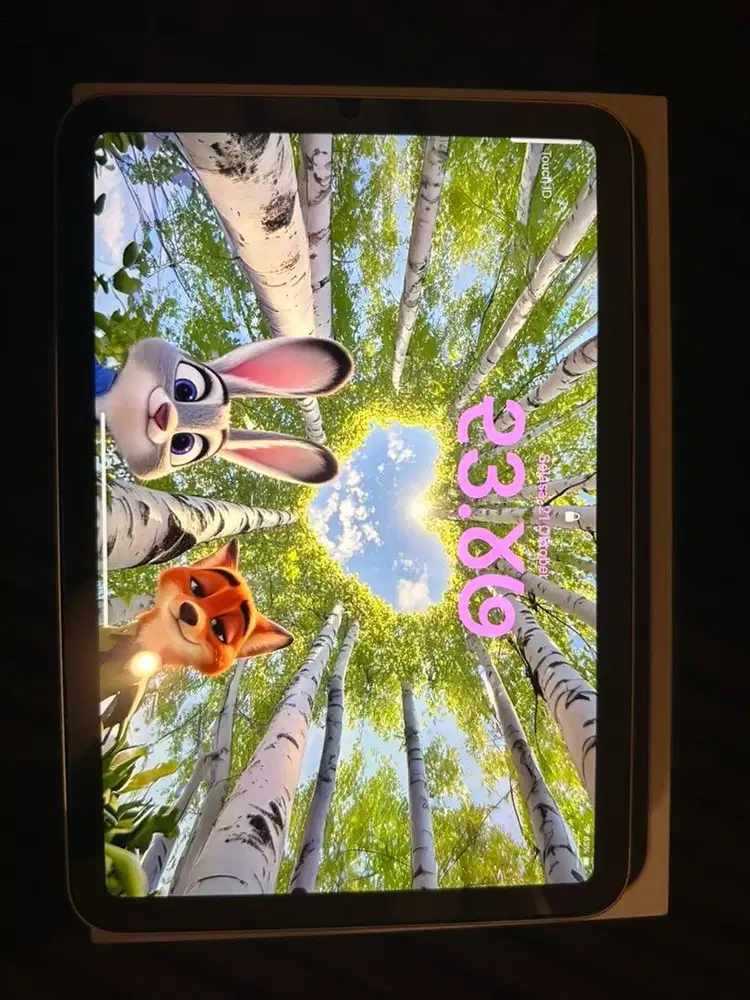 Ipad mini 6 256gb