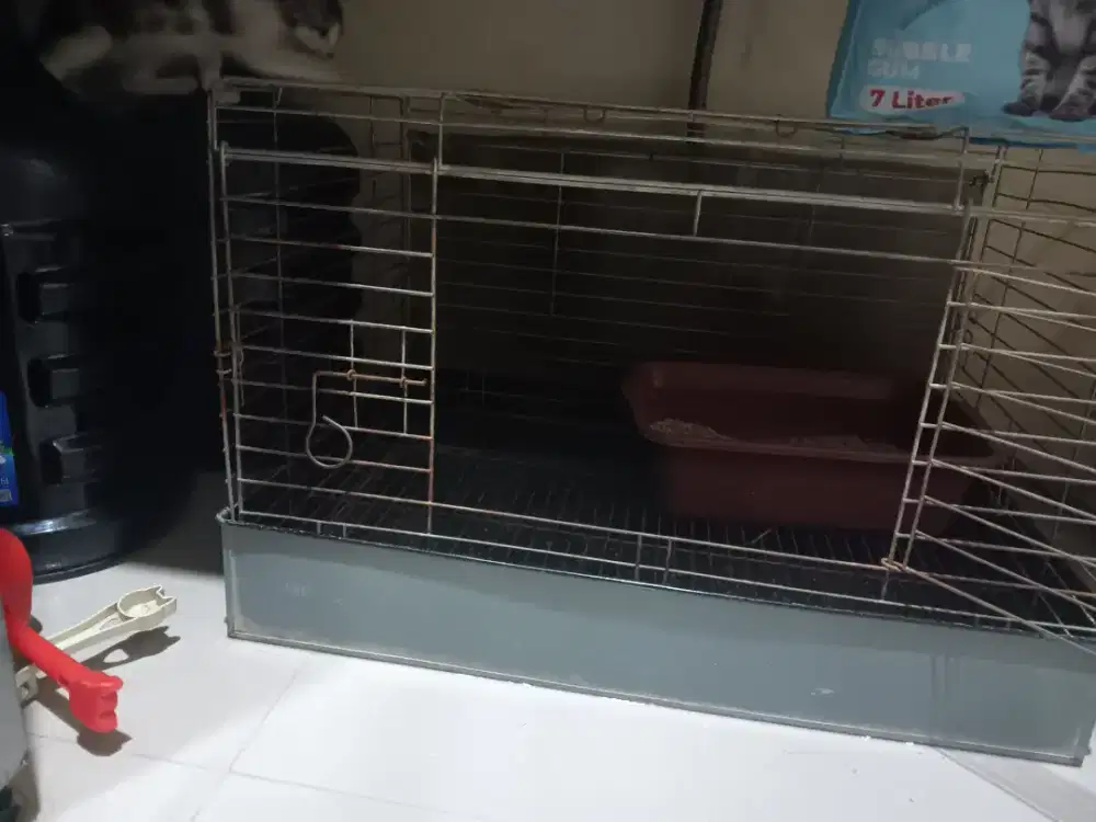 Kandang kucing/burung/reptil/sugar glider/hamster bekas
