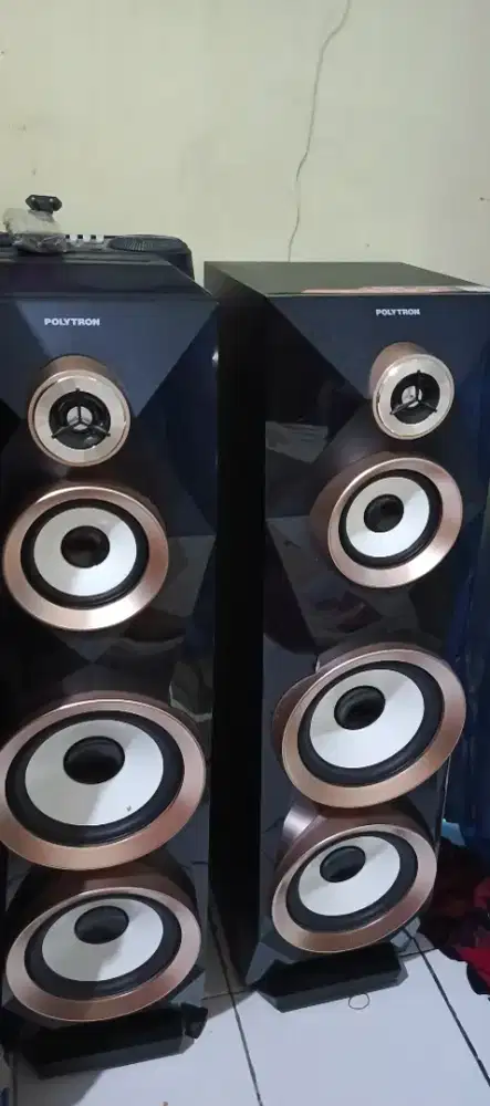 Salon Speaker Politron