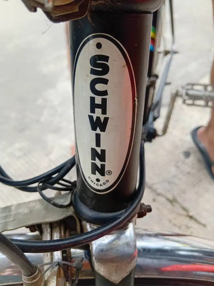 sepeda schwin varcity